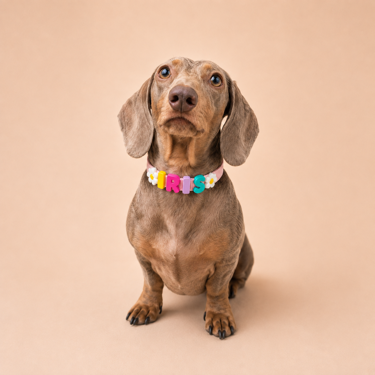 Collar Personalizado