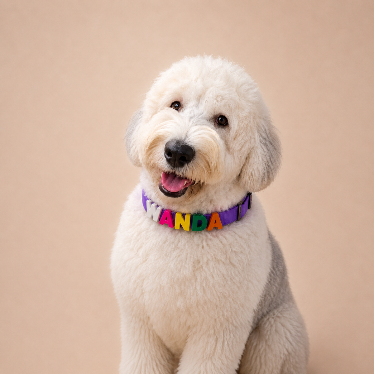 Collar Personalizado